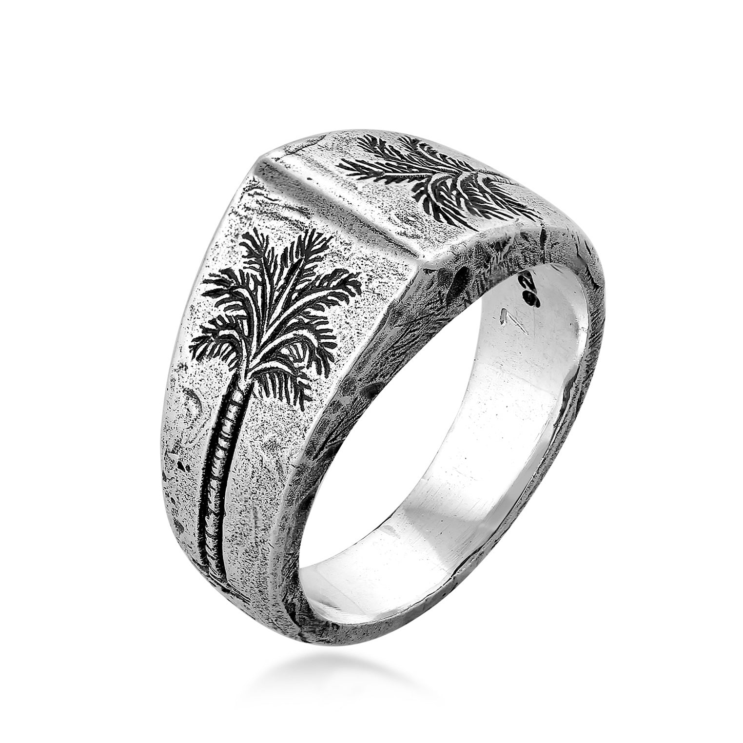 Silber - HAZE & GLORY | The Coconut Society Ring
