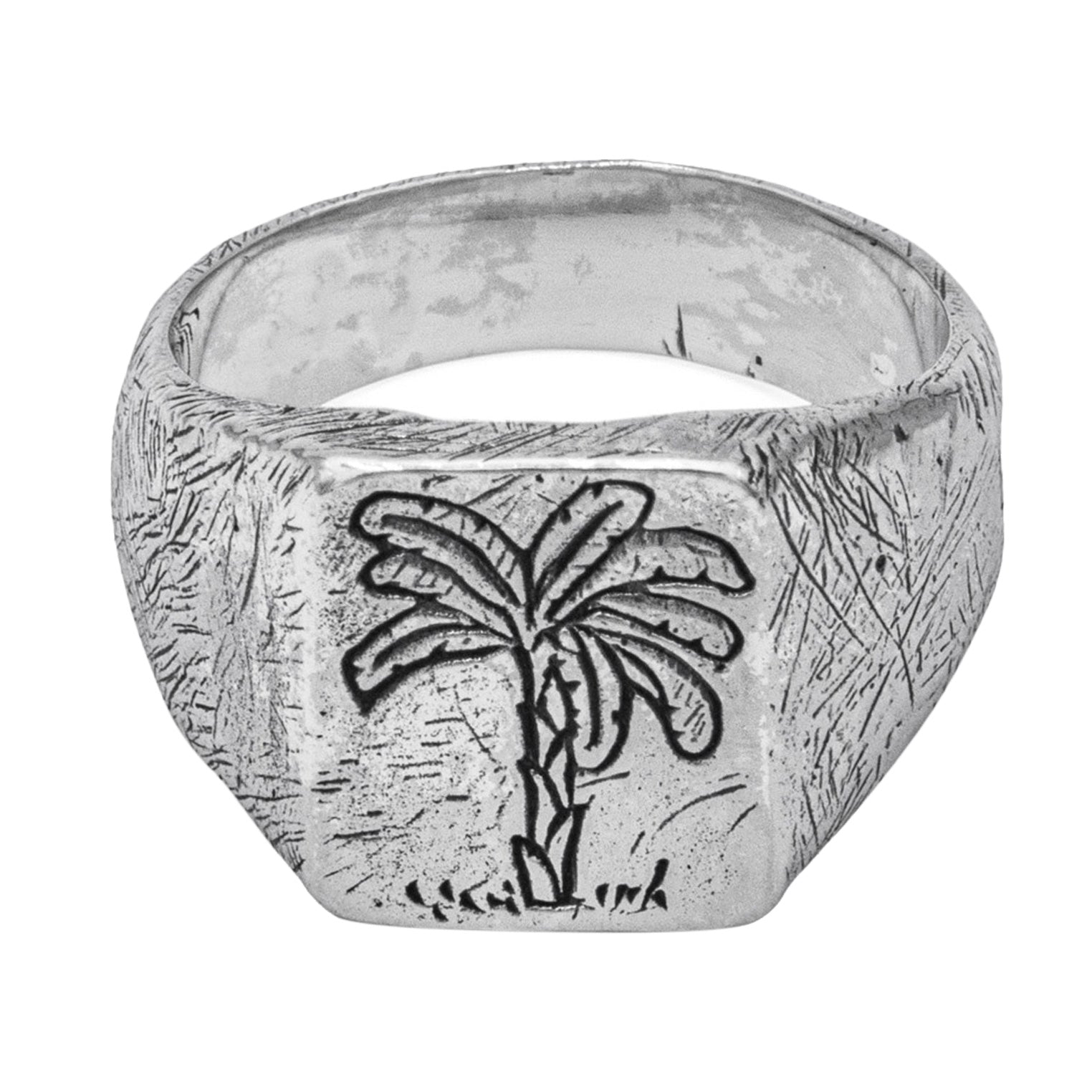 Silber - HAZE & GLORY | Tropicalization Ring