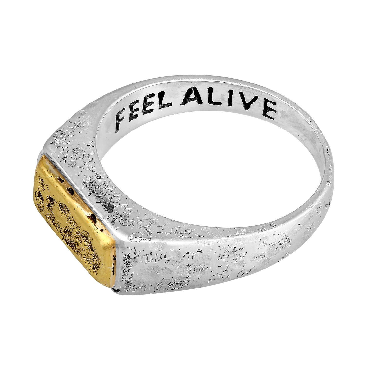 Silber - HAZE & GLORY | The Alive Ring