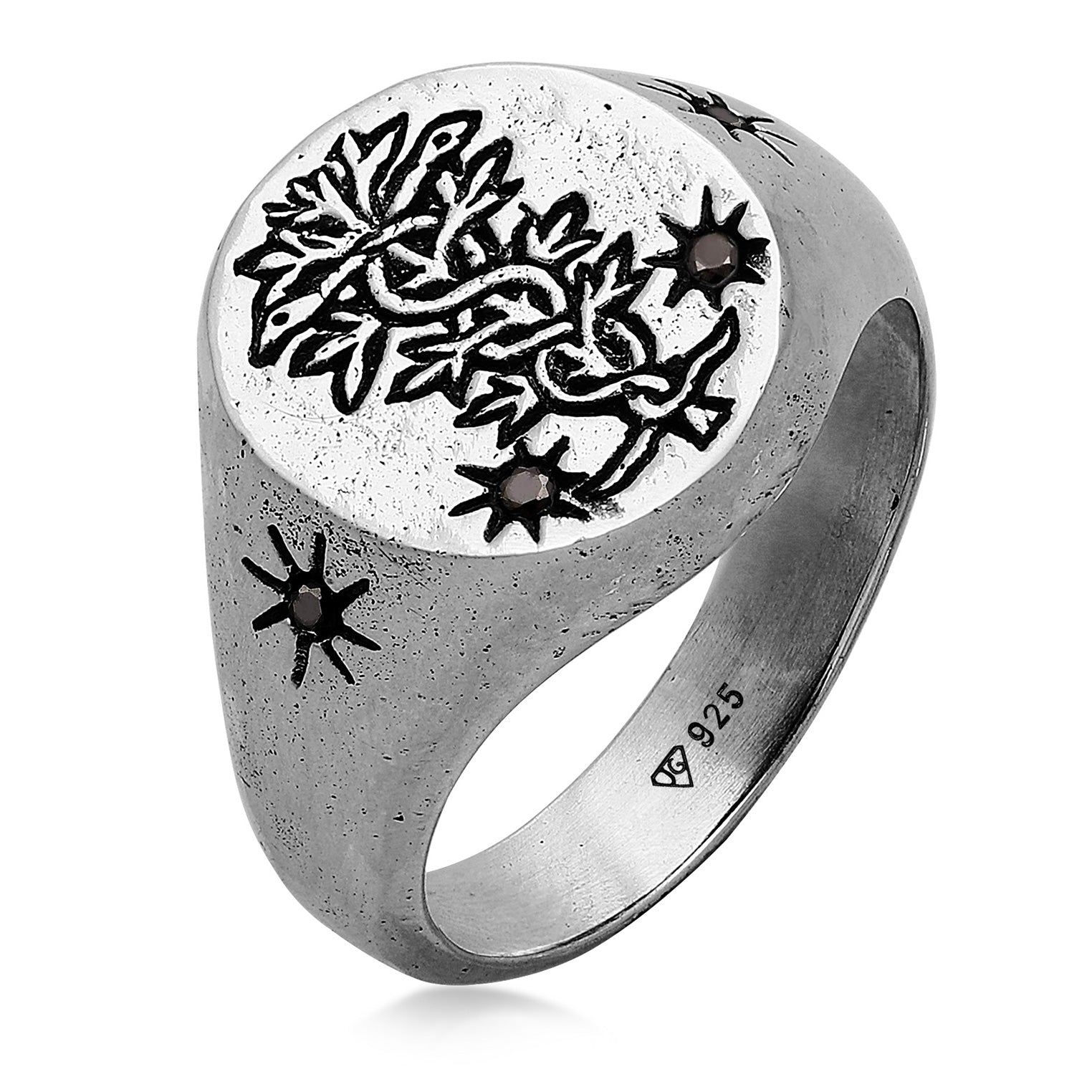 Silber - HAZE & GLORY | The Antidote Ring