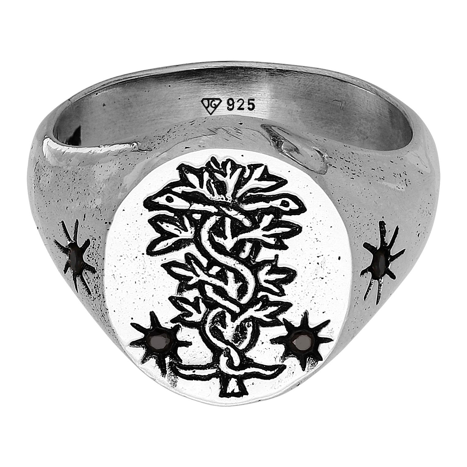 Silber - HAZE & GLORY | The Antidote Ring