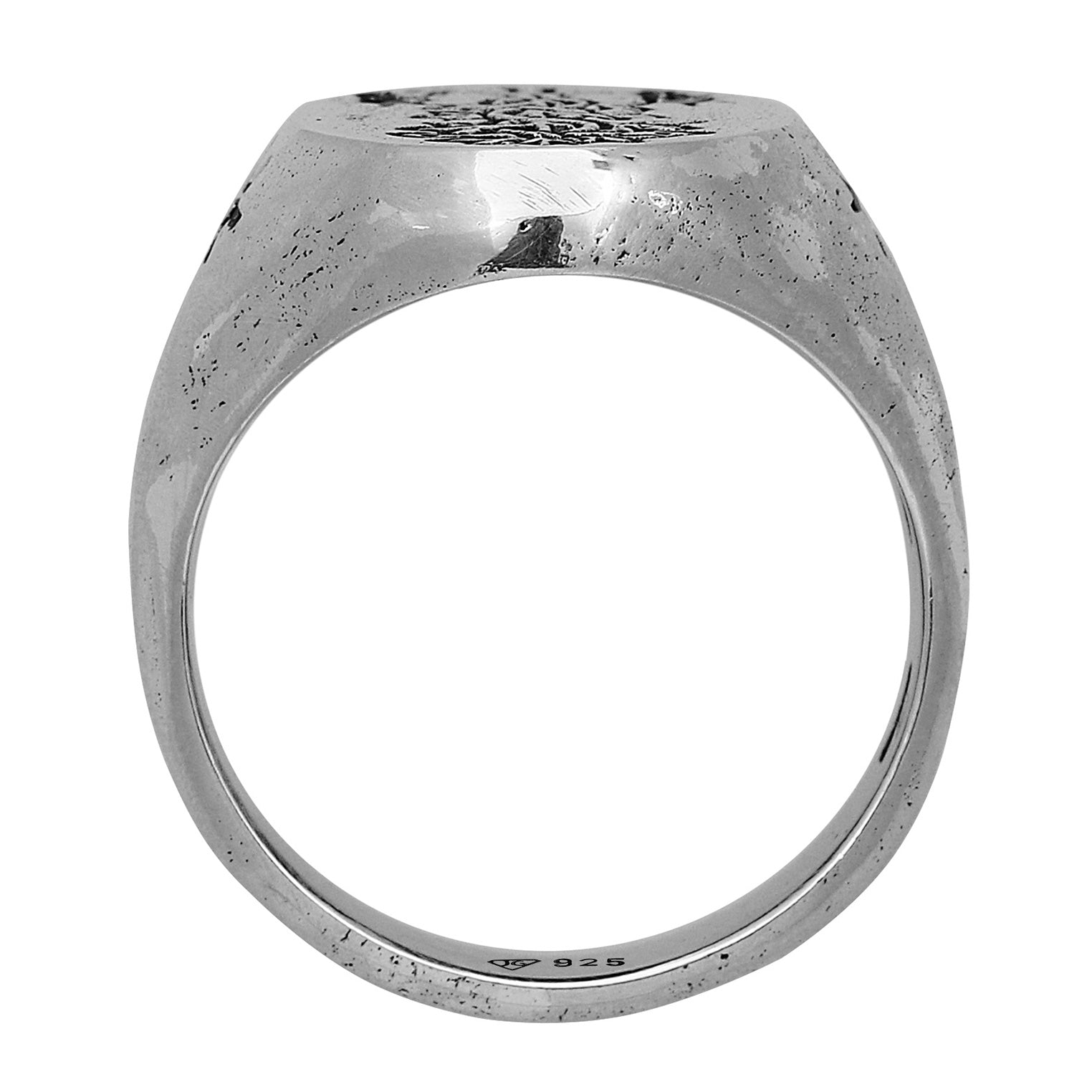 Silber - HAZE & GLORY | The Antidote Ring