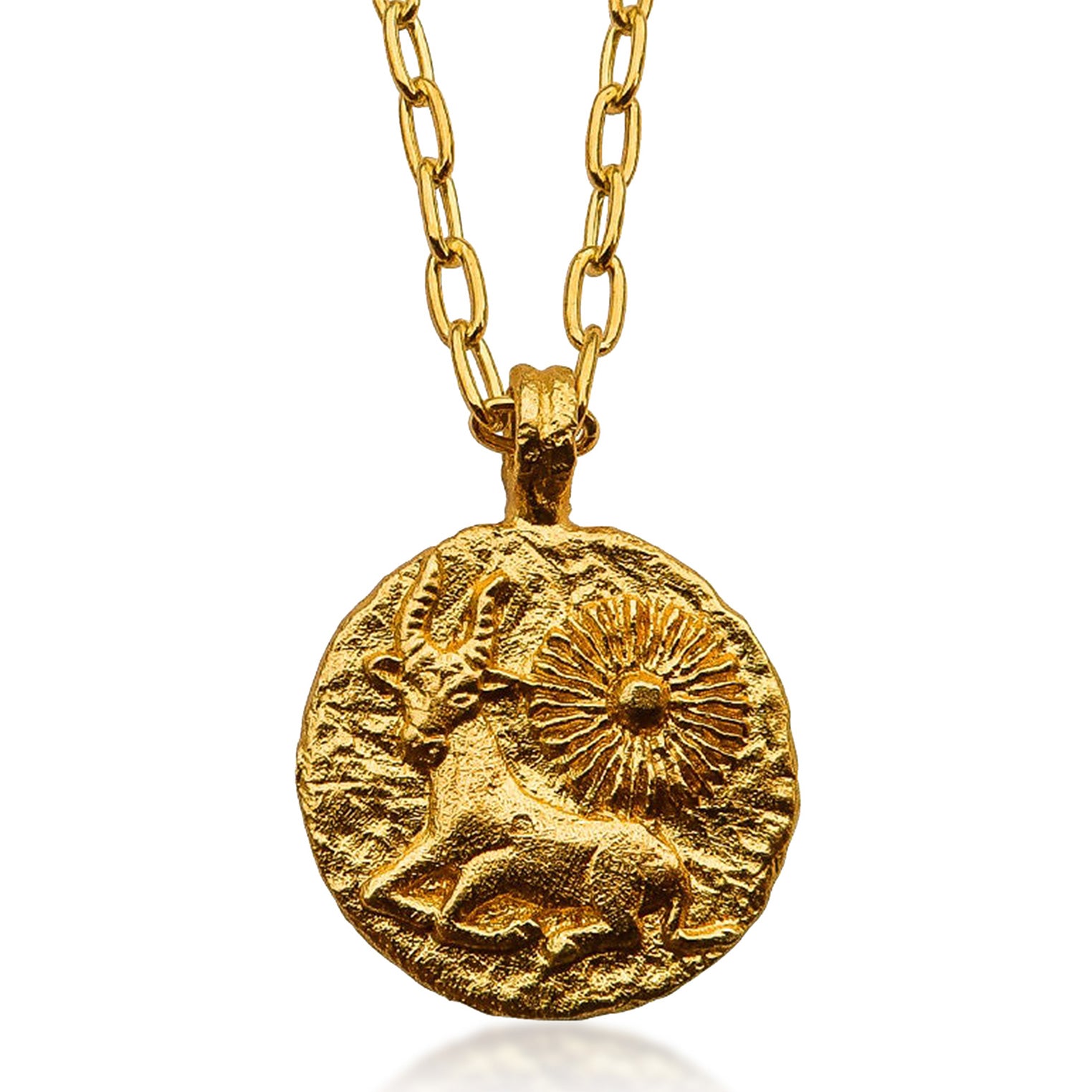 Gold Zodiac Necklace Taurus - Main Image