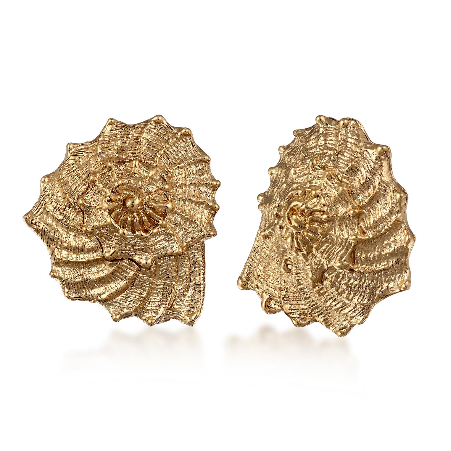 Gold - HAZE & GLORY | Muschel Ohrstecker Goldfarben