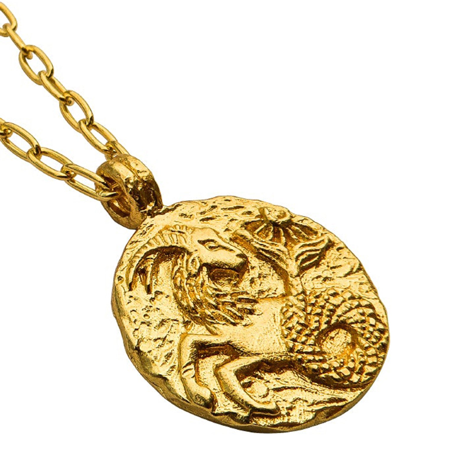 Gold Zodiac Necklace - Capricorn – Haze and Glory