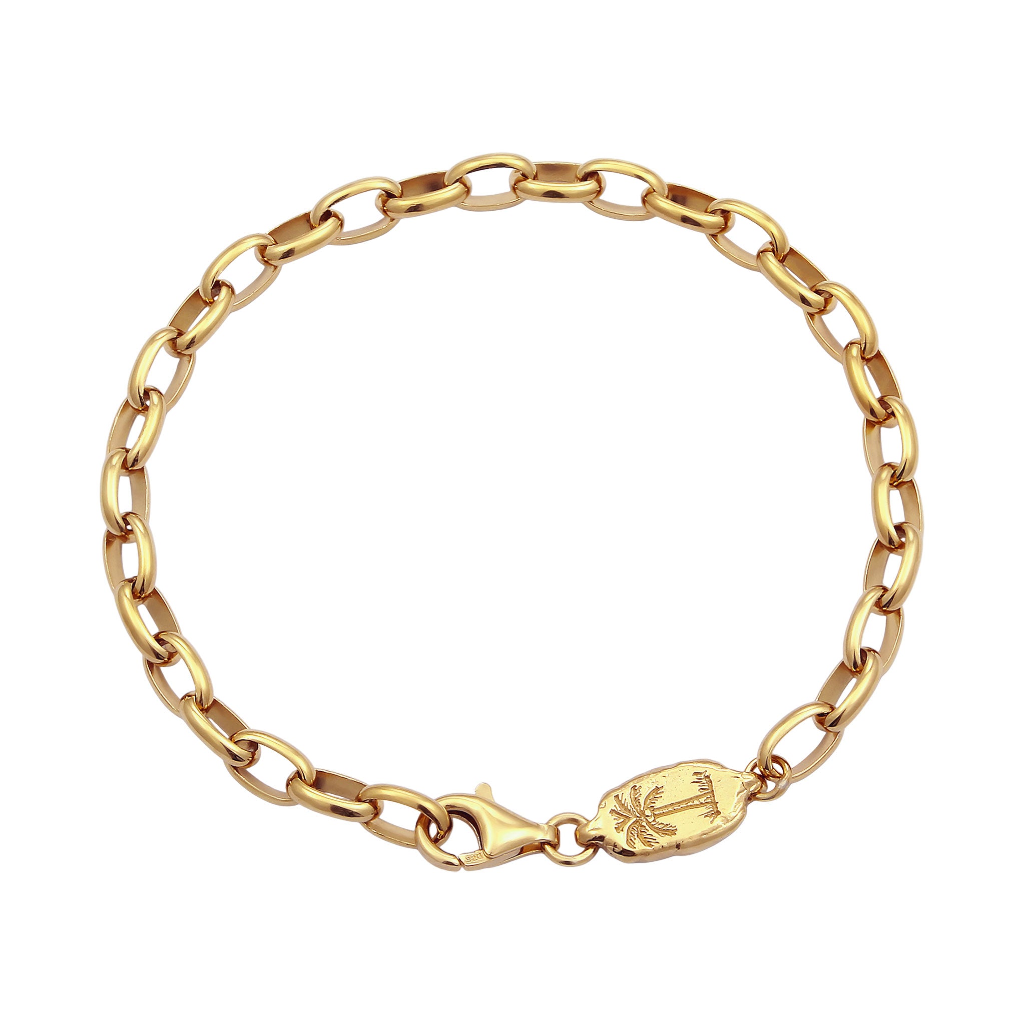 Gold - HAZE & GLORY | Ankerkette - The Coconut Society